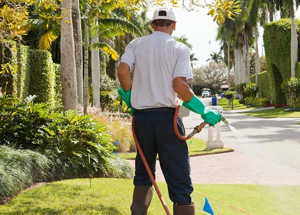 About Herminie PA Pest Control